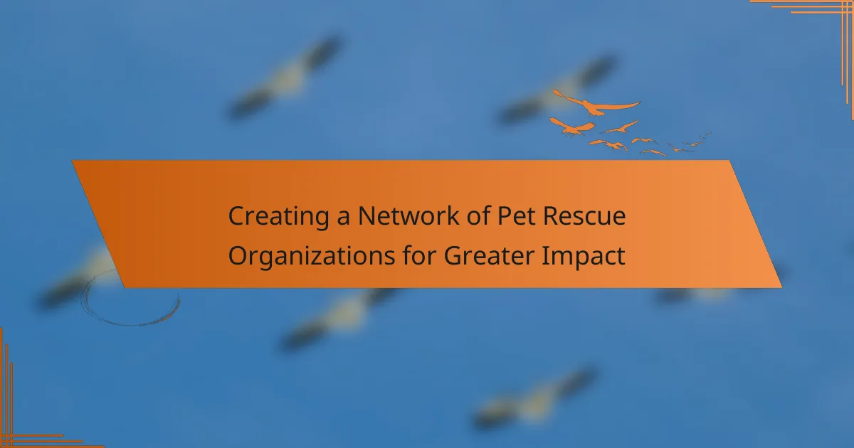 Creating a Network of Pet Rescue Organizations for Greater Impact