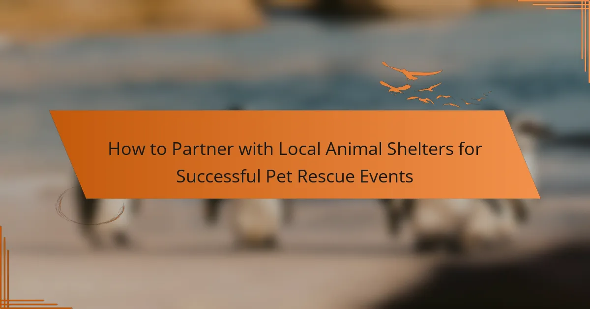 How to Partner with Local Animal Shelters for Successful Pet Rescue Events