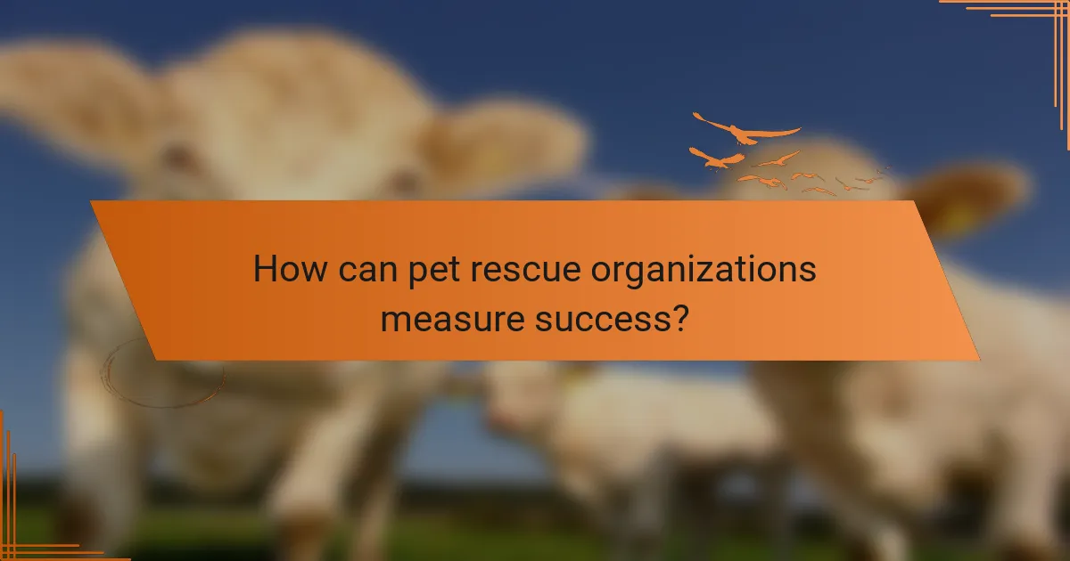 How can pet rescue organizations measure success?