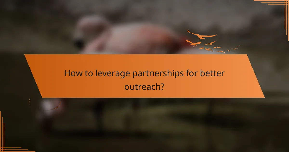 How to leverage partnerships for better outreach?