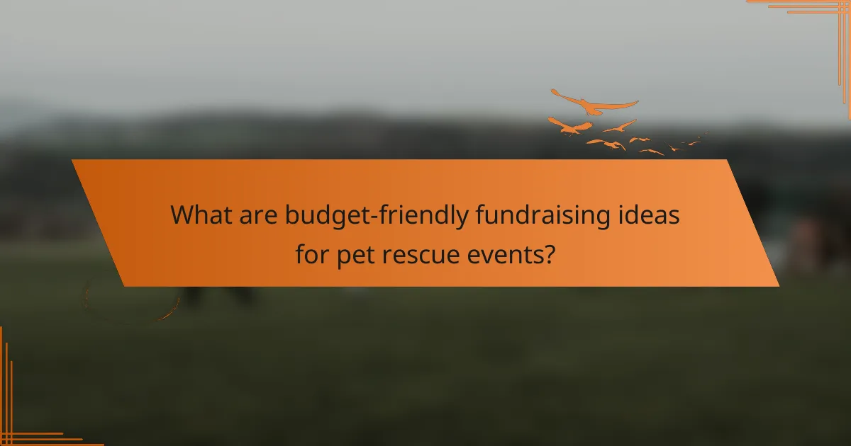 What are budget-friendly fundraising ideas for pet rescue events?