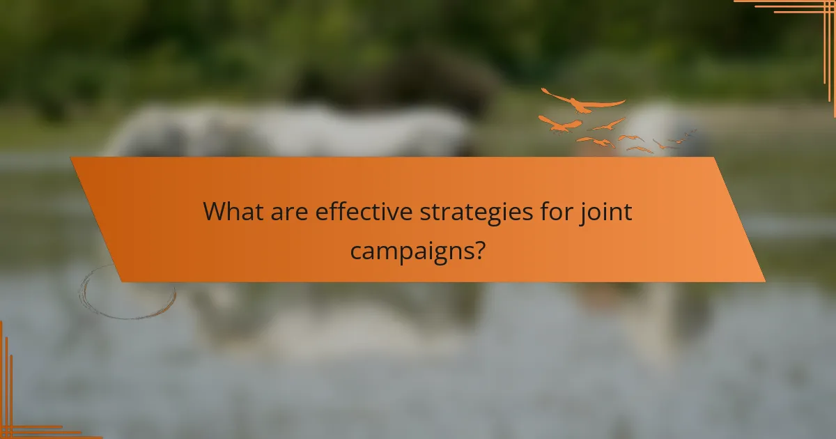 What are effective strategies for joint campaigns?