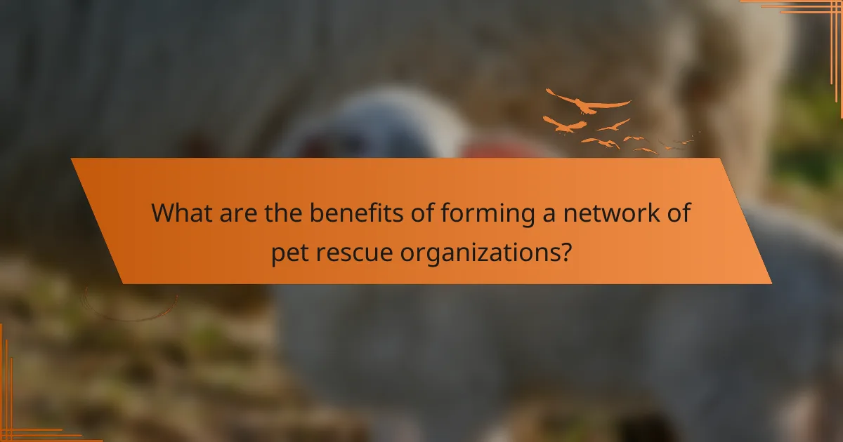 What are the benefits of forming a network of pet rescue organizations?