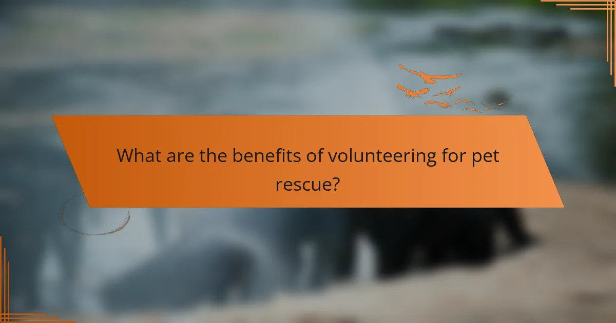 What are the benefits of volunteering for pet rescue?