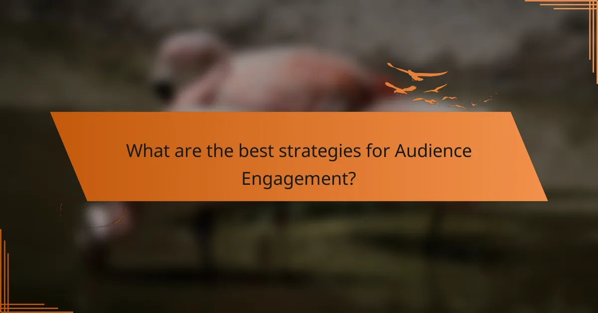 What are the best strategies for Audience Engagement?