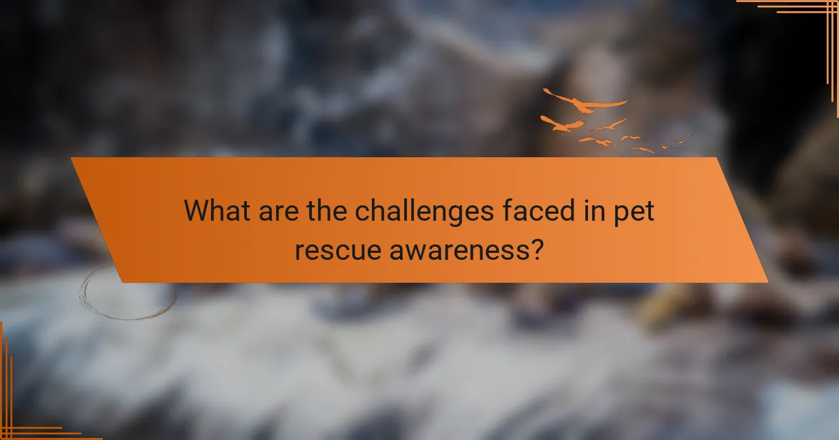 What are the challenges faced in pet rescue awareness?