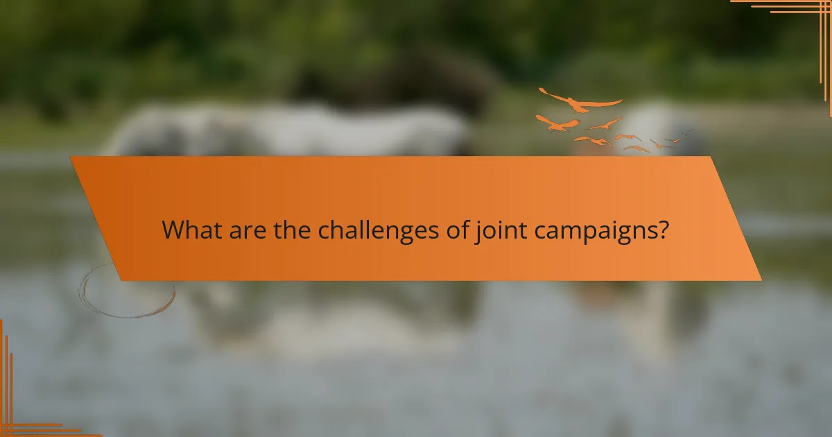 What are the challenges of joint campaigns?