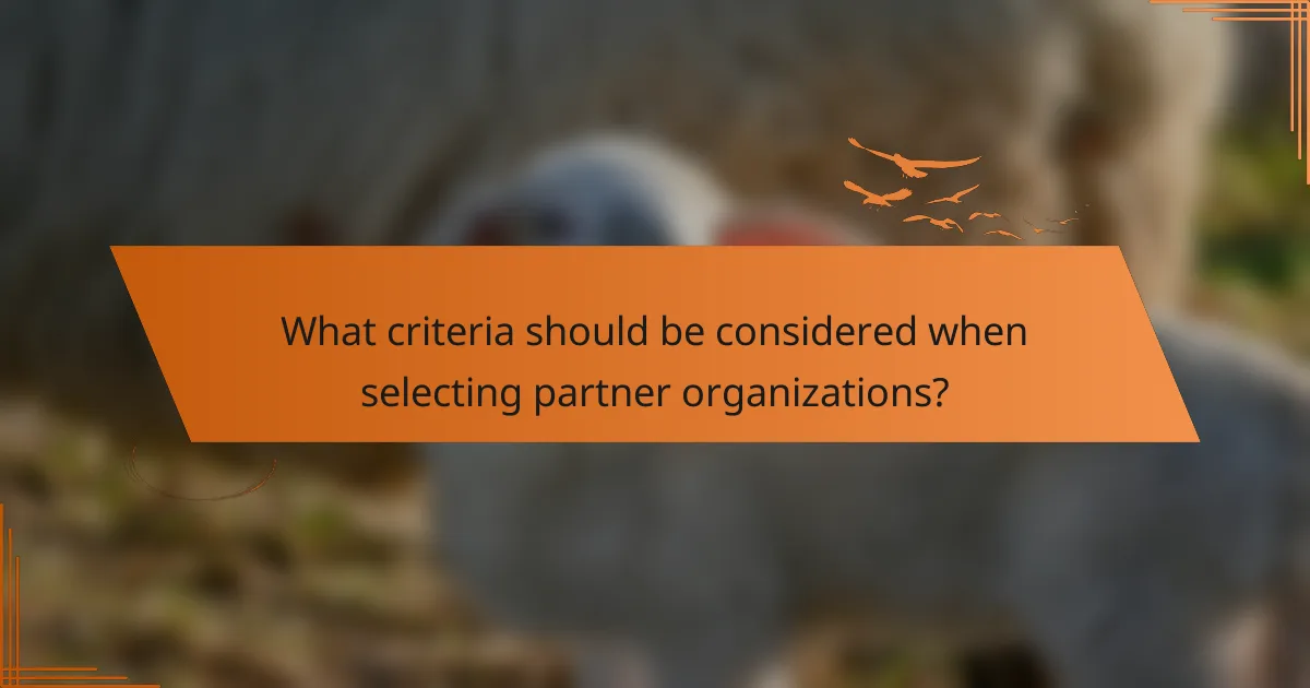 What criteria should be considered when selecting partner organizations?