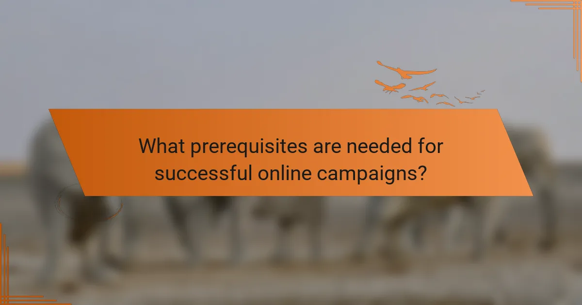 What prerequisites are needed for successful online campaigns?