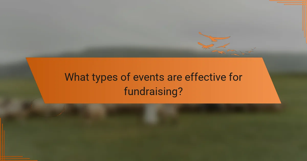 What types of events are effective for fundraising?