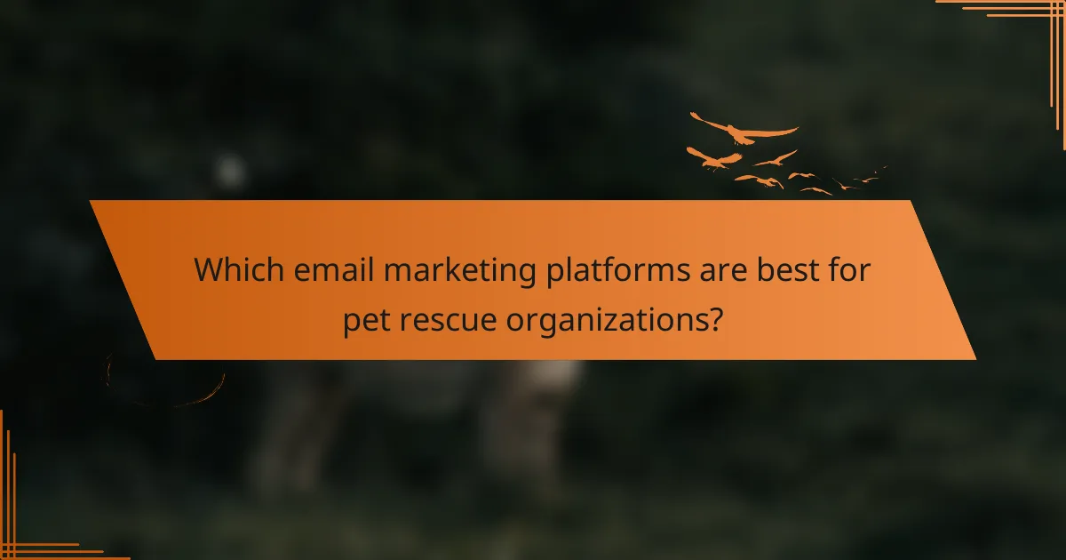Which email marketing platforms are best for pet rescue organizations?